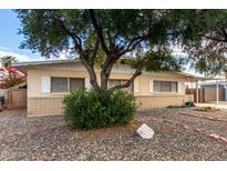 Charming single-story home with a beige exterior, desert landscaping, and mature tree in the front yard at 2331 E Delgado St, Phoenix, AZ 85022