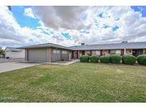 Charming single-story home featuring a well-manicured lawn and desert landscaping at 10317 W Desert Forest Cir, Sun City, AZ 85351