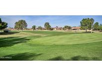 Expansive golf course view showcasing lush green fairways, mature trees, and a tranquil setting for the perfect game at 416 Leisure World --, Mesa, AZ 85206