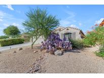 Well-maintained front yard with desert landscaping and a charming home exterior at 10300 E Trailhead Ct, Gold Canyon, AZ 85118