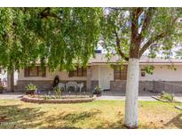 Charming single-story home with a well-maintained lawn, mature tree, and inviting facade at 6235 N 25Th Ave, Phoenix, AZ 85015