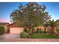 Inviting brick home featuring manicured lawn, large shade tree, lush landscape, and an attached two car garage at 4945 E Shapinsay Dr, San Tan Valley, AZ 85140