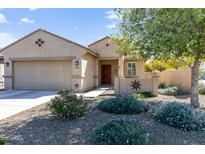 Charming single-story home with well-maintained landscaping and a neutral color palette at 8445 N 61St Ln, Glendale, AZ 85302