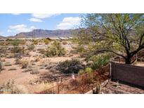 Desert backyard with scenic mountain views beyond fence at 10356 E Meandering Trail Ln, Gold Canyon, AZ 85118