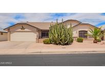 Charming single-story home featuring a two-car garage and beautiful desert landscaping with a towering cactus at 8336 E Neville Ave, Mesa, AZ 85209