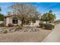 Charming single-story home with mature trees and low-maintenance desert landscaping in front yard at 4518 E Aspen Way, Gilbert, AZ 85234