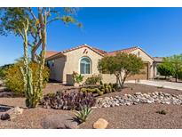 Charming single-story home with a desert landscaped front yard featuring cacti and decorative rocks at 26288 W Horsham Ct, Buckeye, AZ 85396