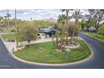 Stunning front yard featuring lush lawn, mature palm trees, and a circular driveway leading to a modern home at 345 W Gardenia Dr, Phoenix, AZ 85021