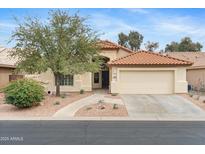 Charming single-story home featuring a tile roof, desert landscaping, and a two-car garage at 3767 N 162Nd Ln, Goodyear, AZ 85395