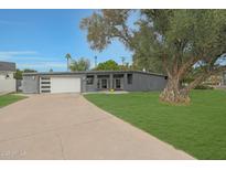 Contemporary gray home featuring a large tree, modern garage door, and well-maintained green lawn at 6746 E Monterosa St, Scottsdale, AZ 85251