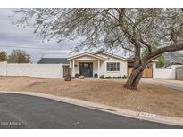 Charming home featuring a well-maintained front yard, complemented by a beautiful tree and a dark front door at 8227 N 15Th Pl, Phoenix, AZ 85020