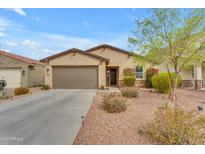 Single-story home featuring a desert landscaped front yard and a two car garage at 696 W Glen Canyon Dr, San Tan Valley, AZ 85140