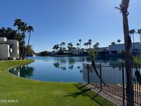 Scenic water view of lake and palm tree landscaping against a clear blue sky at 1825 W Ray Rd # 1058, Chandler, AZ 85224