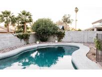 Refreshing backyard pool surrounded by lush greenery and a privacy fence for relaxation at 3147 W Phelps Rd, Phoenix, AZ 85053