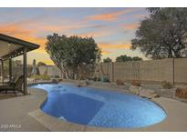 Backyard pool surrounded by lush landscaping, patio area, and privacy fencing at 3325 N Desoto St, Chandler, AZ 85224