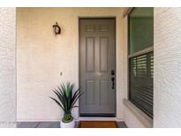 Inviting front entrance showcasing a gray door, decorative plant, and modern lighting fixture at 3467 S Falcon Dr, Gilbert, AZ 85297