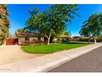 Charming single-story home with a lush green lawn and mature shade tree in front at 8427 N 16Th Ave, Phoenix, AZ 85021