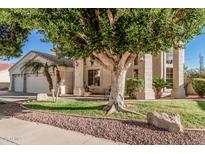 Charming home with mature shade tree, lush green lawn, and meticulous rock landscaping at 1449 W Commerce Ave, Gilbert, AZ 85233