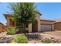 Charming single-story home with a xeriscaped front yard and mature tree at 38167 W Santa Clara Ave, Maricopa, AZ 85138