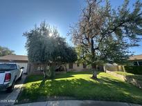 Charming single-story home featuring a lush green lawn and mature trees, offering shade and curb appeal at 2023 W Morrow Dr, Phoenix, AZ 85027