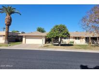 Charming single-story home featuring a well-manicured front yard, large palm tree and an attached two-car garage at 11108 W Cameo Dr, Sun City, AZ 85351