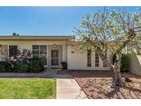 Charming single-story home featuring a well-manicured lawn, mature tree, and inviting walkway at 14212 N Newcastle Dr, Sun City, AZ 85351