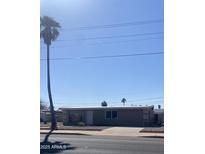 Single-story home featuring a low-pitched roof, neutral-toned siding, and desert landscaping, complete with mature palm trees at 813 N Trekell Rd, Casa Grande, AZ 85122