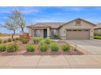 Charming single-story home featuring a well-maintained landscape with decorative rock and mature plants at 11305 W Monte Vista Rd, Avondale, AZ 85392