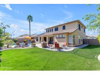 Expansive backyard with a pristine pool, lush lawn, outdoor kitchen, and mature palm trees at 4455 E Palmdale Ln, Gilbert, AZ 85298