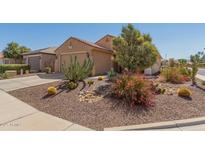 Charming single-story home featuring desert landscaping with cacti and native plants adding to the curb appeal at 26237 W Vista North Dr, Buckeye, AZ 85396