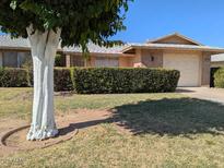 Charming single-story home featuring a well-manicured lawn and a trimmed hedge for added curb appeal at 11012 W Caron Dr, Sun City, AZ 85351