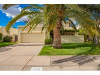 Inviting single-Gathering home showcasing a charming front yard with a lush palm tree and well-maintained landscaping at 8424 E San Bernardo Dr, Scottsdale, AZ 85258