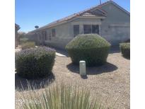 Single story home featuring desert landscaping with gravel and trimmed shrubs at 1347 E Vernoa St, San Tan Valley, AZ 85140