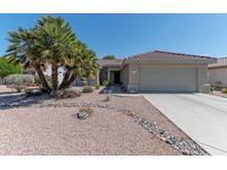 Charming single-story home with a well-maintained front yard featuring desert landscaping and mature palm trees at 19615 N Sunburst Way, Surprise, AZ 85374