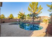 Sparkling backyard pool with patio area and lush landscaping at 9009 S 57Th Dr, Laveen, AZ 85339