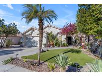 Charming home with manicured yard featuring mature palm trees and artful landscaping at 842 W Saragosa St, Chandler, AZ 85225