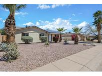 Single story home featuring gravel landscaping, beautiful mature palm trees and well maintained shrubs at 13237 N 38Th Pl, Phoenix, AZ 85032