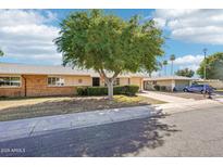 Charming single-story home with mature shade tree, well-maintained landscaping, and inviting curb appeal at 17885 N 99Th Dr, Sun City, AZ 85373