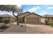 Charming single-story home with a well-manicured yard and inviting curb appeal at 3305 E Hononegh Dr, Phoenix, AZ 85050