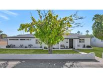Charming single-story home featuring a landscaped front yard with mature tree providing shade and curb appeal at 1043 E Oregon Ave, Phoenix, AZ 85014