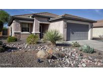 Charming single-story home with desert landscaping featuring rocks, agave, and a young palm tree at 20222 N 267Th Ln, Buckeye, AZ 85396