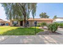 Charming single-story home with a lush green lawn, mature tree, and a welcoming front entrance at 19258 N 20Th Dr, Phoenix, AZ 85027