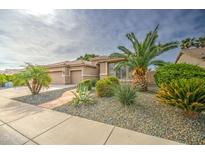 Charming home with well-maintained desert landscaping, gravel, and mature palm trees at 1893 W Canary Way, Chandler, AZ 85286
