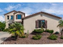 Charming home exterior featuring desert landscaping with lush plants, a palm tree and dark brown shutters at 18101 N Crestview Ln, Maricopa, AZ 85138