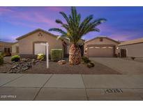 Charming single-story home featuring a well-maintained landscape with a distinctive palm tree and gravel yard at 43261 W Neely Dr, Maricopa, AZ 85138