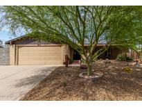 Charming home featuring a low-maintenance landscaped yard and a large shade tree at 4810 W Kelton Ln, Glendale, AZ 85306