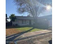 Charming single-story home with mature tree in the front yard, offering shade and curb appeal on a sunny day at 847 W Harrison St, Chandler, AZ 85225