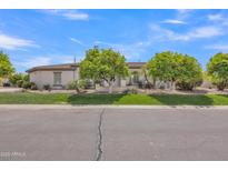 Charming single-story home with a well-manicured lawn and mature trees providing shade and curb appeal at 3461 E Indigo Cir, Mesa, AZ 85213