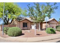 Charming single-story home featuring a well-maintained yard with desert landscaping and mature trees at 1624 E Marigold St, Casa Grande, AZ 85122