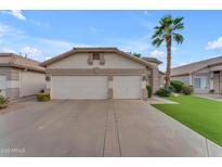 Inviting home featuring a wide driveway, spacious two-car garage, and a mature palm tree, enhancing its curb appeal at 4809 W Erie St, Chandler, AZ 85226